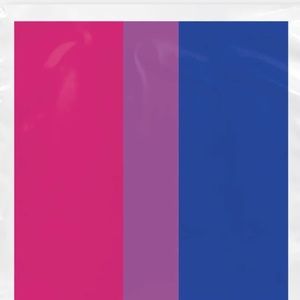 Bi Pride mailers (Twenty Pack)